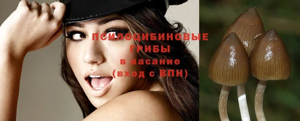 прущий лед Алексин