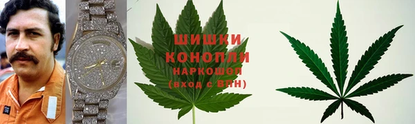 ГАЛЛЮЦИНОГЕННЫЕ ГРИБЫ Алзамай