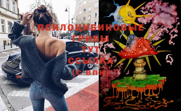ешки Аркадак