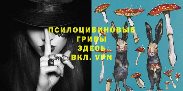 ешки Аркадак