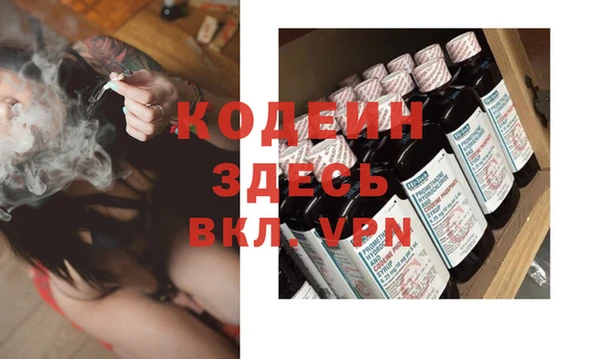 шишки Заводоуковск